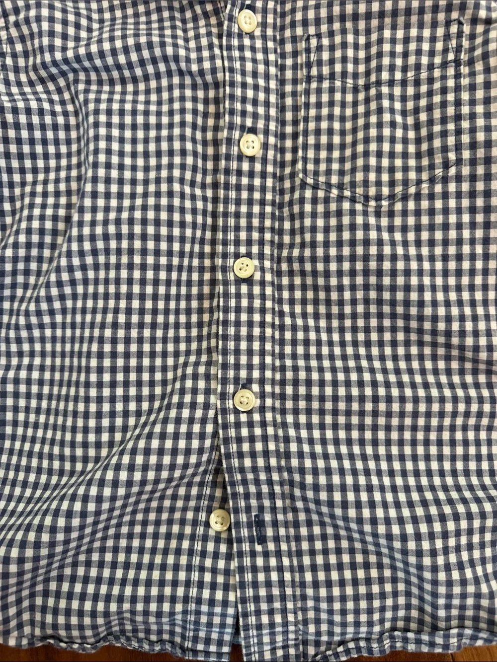 GAP Boys Blue and White Gingham Button-Down Shirt